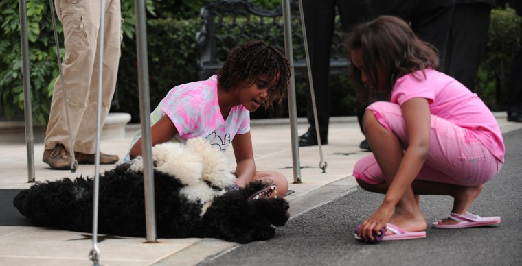 President Barack Obama's daughters Sasha (R) and Malia play with the family's pet dog Bo as they wait for the Marine One presidential helicopter to land on the South Lawn of the White House upon their father's return to the White House in Washington, D.C.