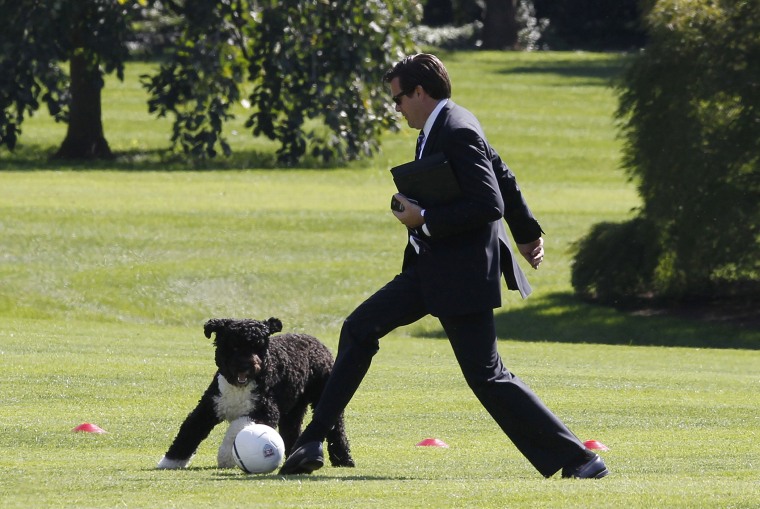 Alan Fitts, trip director for first lady Michelle Obama, kicks a soccer ball with Bo, the Obama family dog, as preparations are made on the South Lawn of the White House in Washington, D.C., Oct. 6, 2011. (Photo by Charles Dharapak/AP)