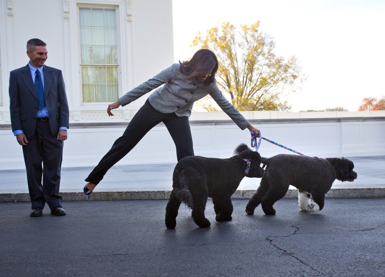 Michelle Obama is pulled away by her dogs Bo and Sunny, after welcoming the Official White House Christmas Tree to the White House in Washington, Nov. 27, 2015. (Photo by Pablo Martinez Monsivais/AP)