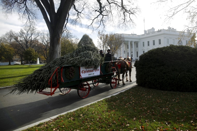 The Official White House Christmas Tree arrives at the White House in Washington, Nov. 27, 2015. This year's White House Christmas Tree is an 18.5-foot Fraser fir grown by Jay and Glenn Bustard in Lansdale, Penn. (Photo by Carlos Barria/Reuters)