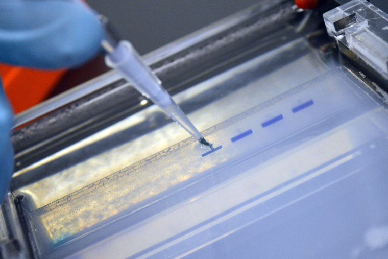 A researcher injects cells into a gel on July 31, 2014. (Photo by William Thomas Cain/Getty)