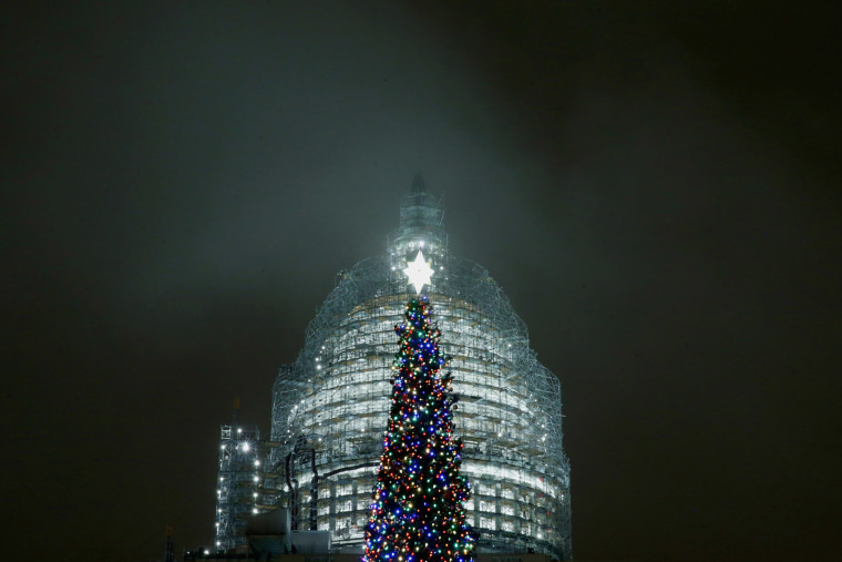 The Captiol Christmas tree is shown lighted during a ceremony on the west front of the U.S. Capitol Dec. 2, 2015 in Washington, DC. (Photo by Chip Somodevilla/Getty)