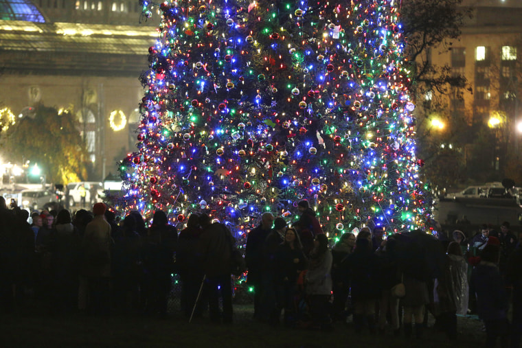 People gather in front of the U.S. Capitol Christmas Tree after the lighting ceremony on Capitol Hill in Washington Dec. 2, 2015. (Photo by Joshua Roberts/Reuters)