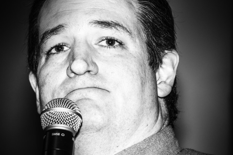 Senator Ted Cruz speaks at a rally in Ames, Ia., Jan. 30, 2016. (Photo by Mark Peterson/Redux for MSNBC)