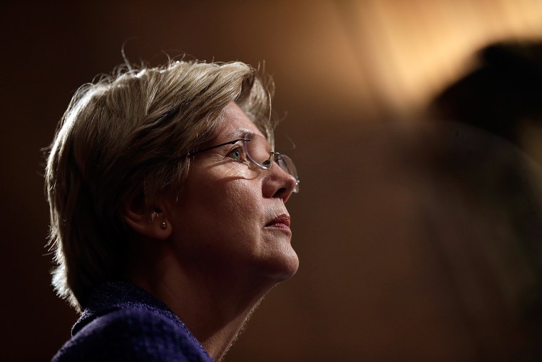 Elizabeth Warren (Photo by Win McNamee/Getty).