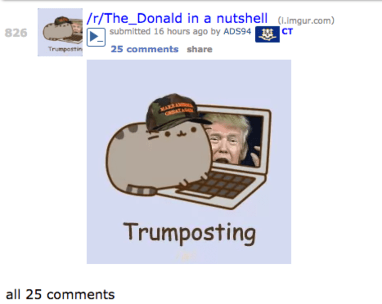 \"r/TheDonald in a nutshell\" posted by reddit user ADS94. (Screenshot courtesy of Reddit)