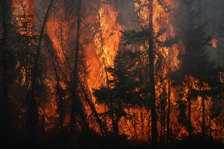 Flames engulf trees along a highway near Fort McMurray, Alberta, on May 6, 2016. (Photo by Cole Burston/AFP/Getty)
