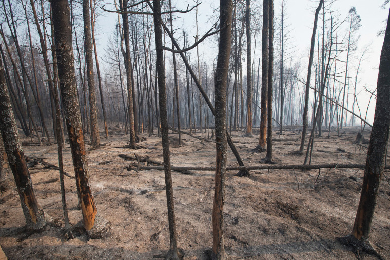 Trees charred by a wildfire continue to smolder along along Highway 63 on May 6, 2016 in Fort McMurray, Alberta, Canada. (Photo by Scott Olson/Getty)