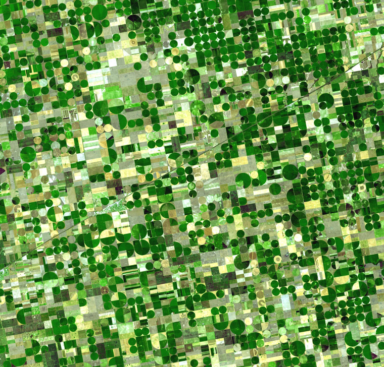 Farm land in Finney County, Kansas marked by center-pivot irrigation systems.