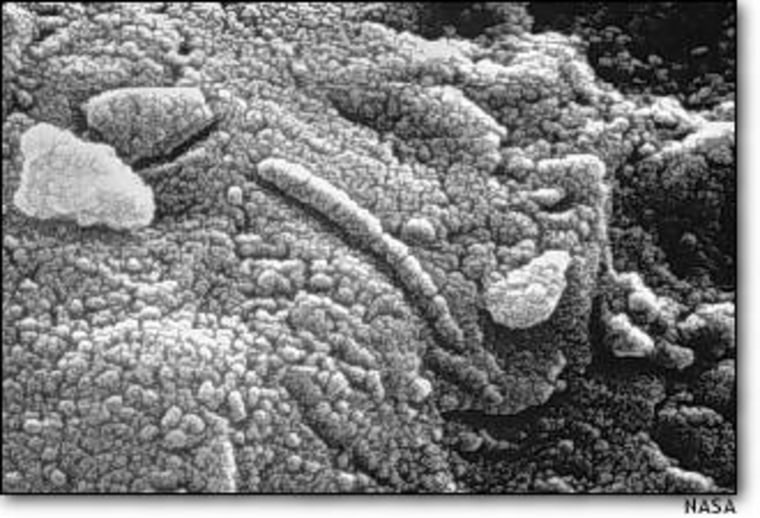 A photomicrograph of ALH84001, a meteorite from Mars that landed in Antarctica, shows a wormlike structure that researchers called a "nanofossil." Some doubt that life forms could exist on such a small scale, but recent research argues that they could.