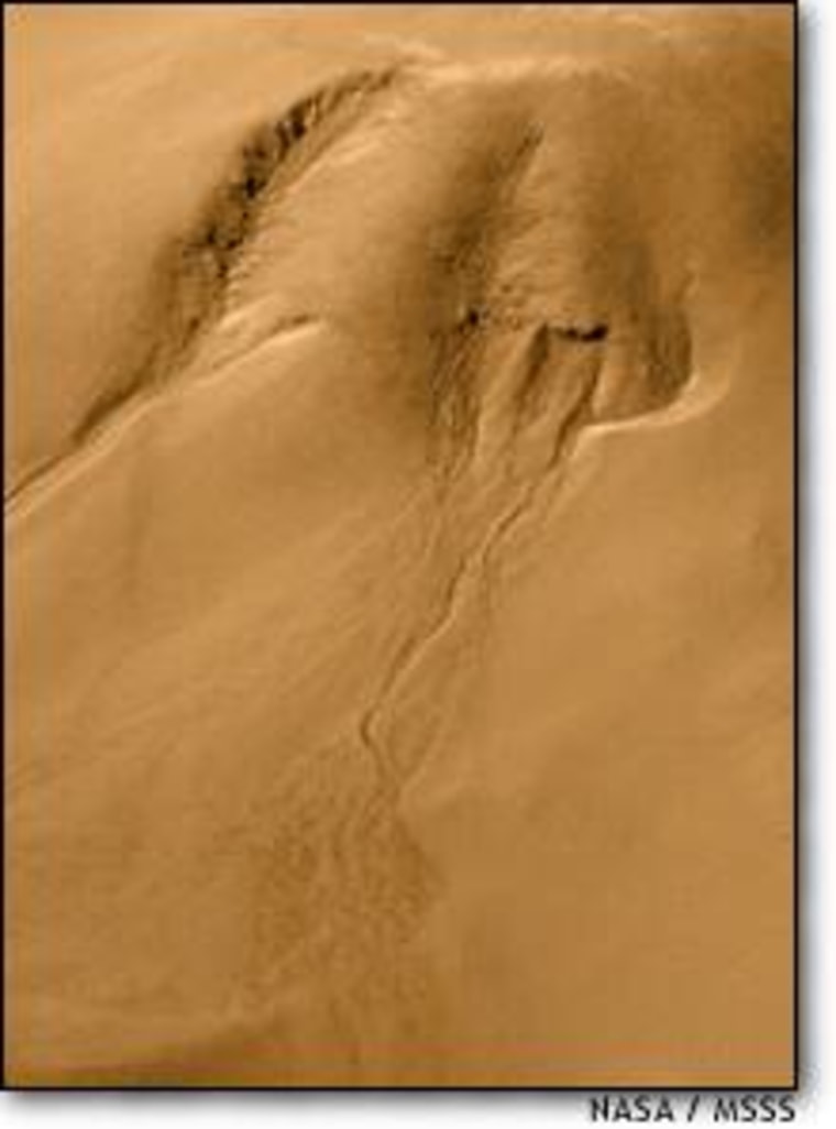 This Global Surveyor image shows dry gullies trickling down the side of a meteor impact crater in Mars' Noachis Terra region.