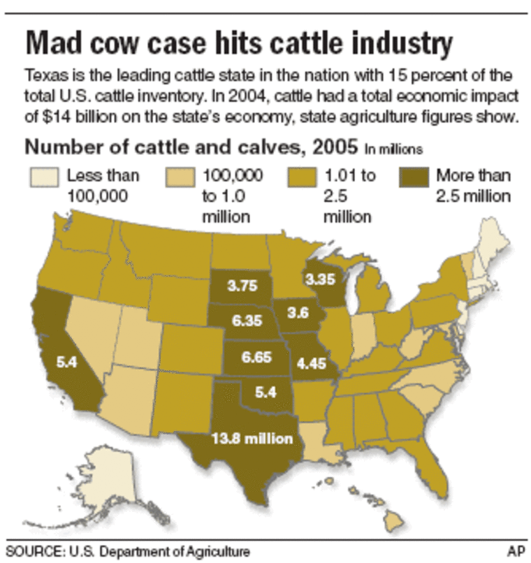 Officials to survey Texas herd in mad cow case