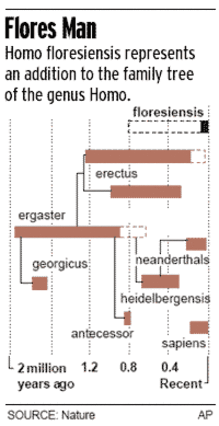 Flores Man: Homo floresiensis representsan addition to the family tree of the genus Homo