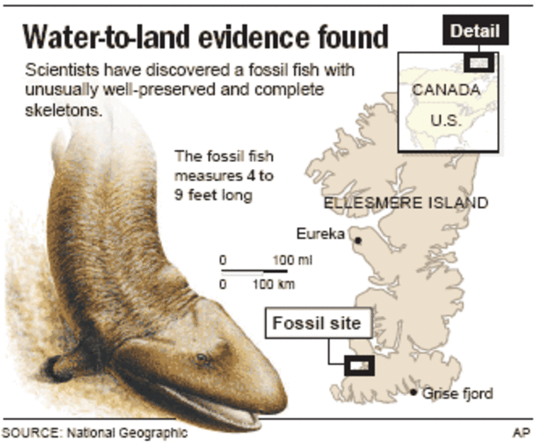 Fossil shows how fish made the leap to land