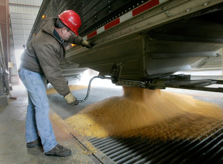 Image: A truckdriver unloads his cargo of corn into a chute at the Lincolnway Energy plant in Nevada, Iowa