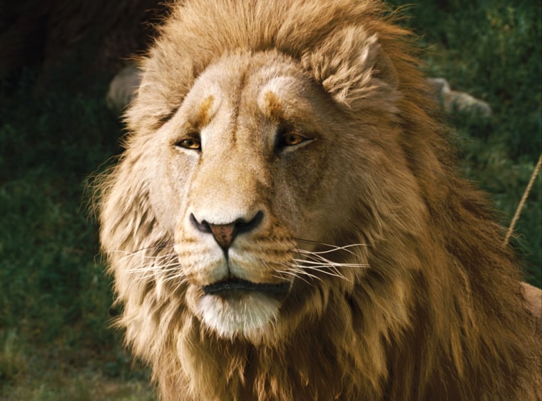 Aslan in The Chronicles of Narnia Looks So Much Better Than the