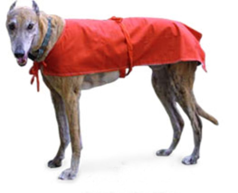 Image: Storm Defender dog cape