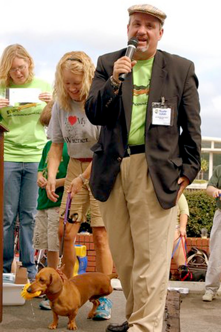 Image: Longfellow the dachshund