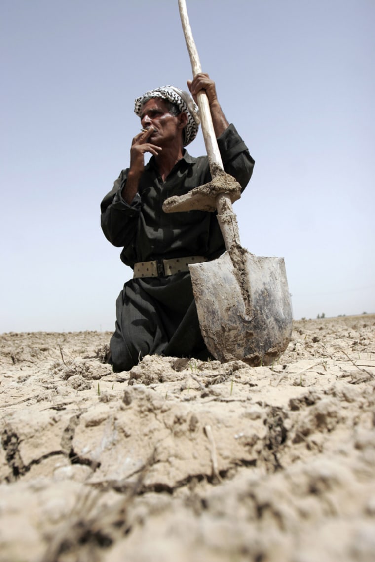 Image: Man in dry field