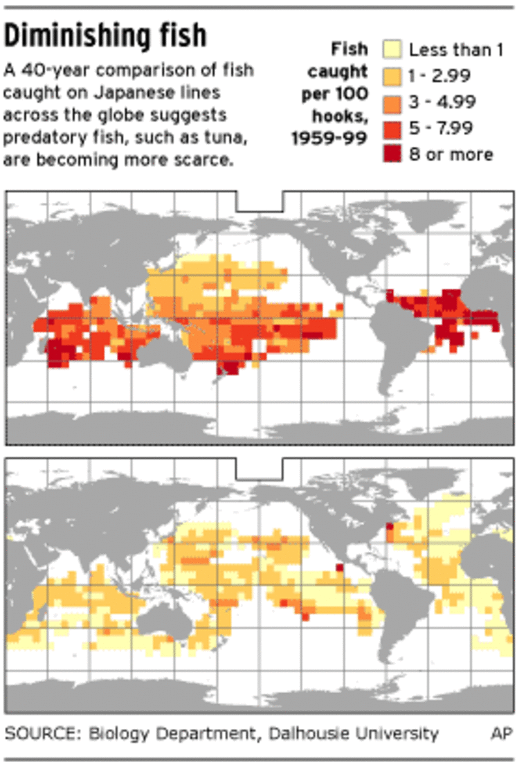Pacific bluefin tuna population has dropped 97 percent, new report