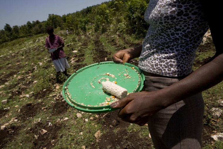 A woman holds a plastic dish with a corn stake on it in Deschapelles, Haiti, Tuesday, June 17, 2008. Funding delays, a dysfunctional central government and transportation problems along crumbling rural roads are keeping aid from reaching critical areas such as the fertile Artibonite Valley, where one out of three children are malnurished. (AP Photo/Ariana Cubillos)