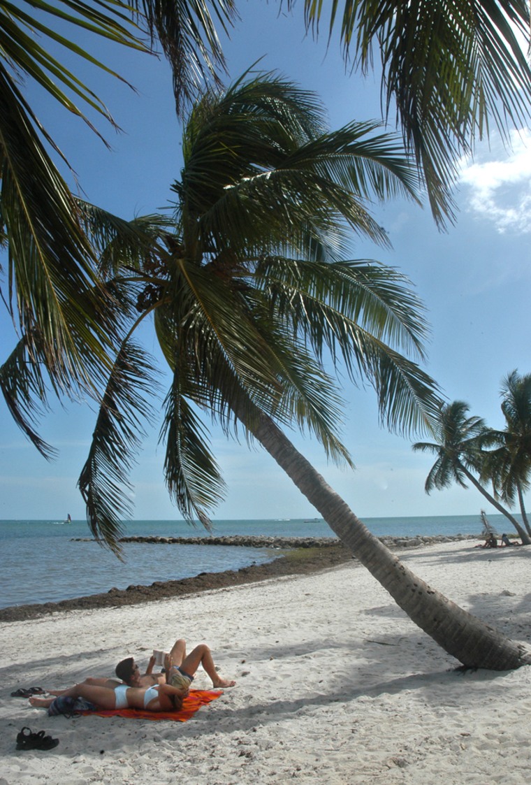 Image: People on a beach underneath a palm tree