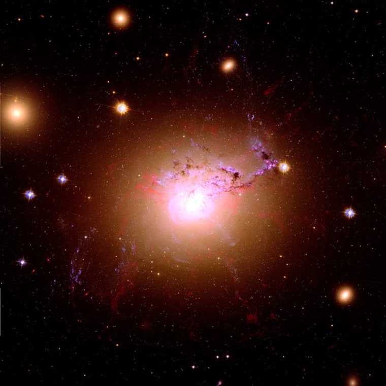 A red, green and blue image of NGC 1275, which was created by combining the data using Hubble's three Advanced Camera for Survey filters. The three images were processed with the method of Lupton et al (2004) to preserve the colour of objects avoiding saturation. The detail in the ilaments was enhanced by using the unsharp mask filter in the GNU Image Manipulation Tool. Credit: A.C. Fabian/R.M. Johnstone/J.S. Sanders/C.J. Conselice/C.S. Crawford/J,S, Gallagher III/E.Zweibel