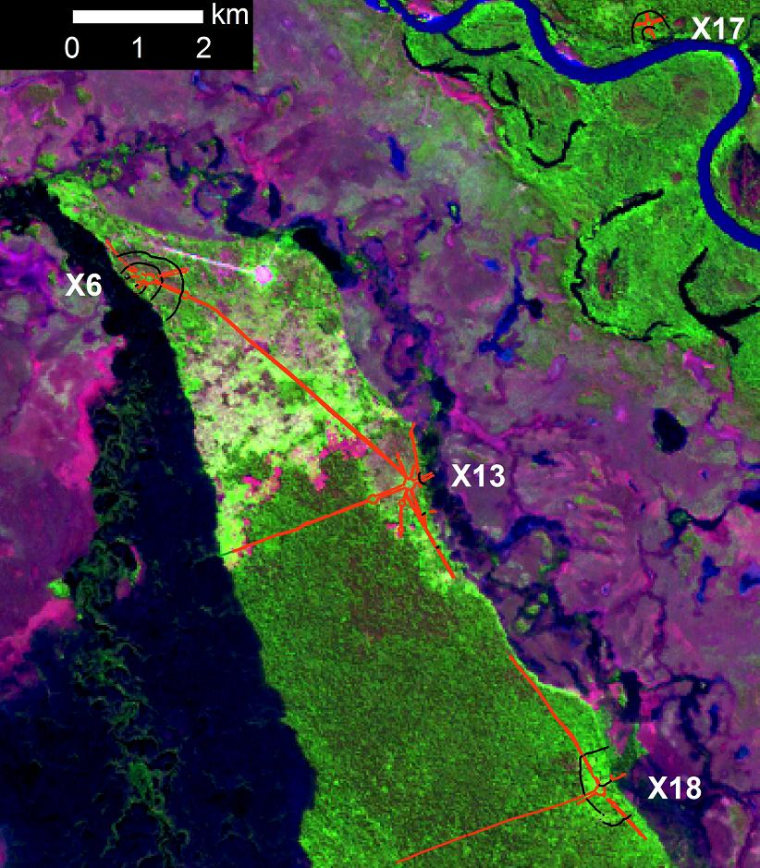 Satellite imaging reveals the outlines of Northern (Ipaste) cluster sites in the Amazon. Red lines indicate earthworks that were apparently erected as berms for roads and plazas, and black lines indicate defensive ditches.