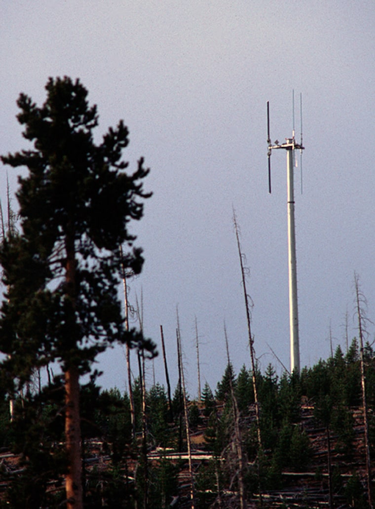 Image:  a cell phone tower in the vicinity of the Old Faithful geyser in Yellowstone National Park