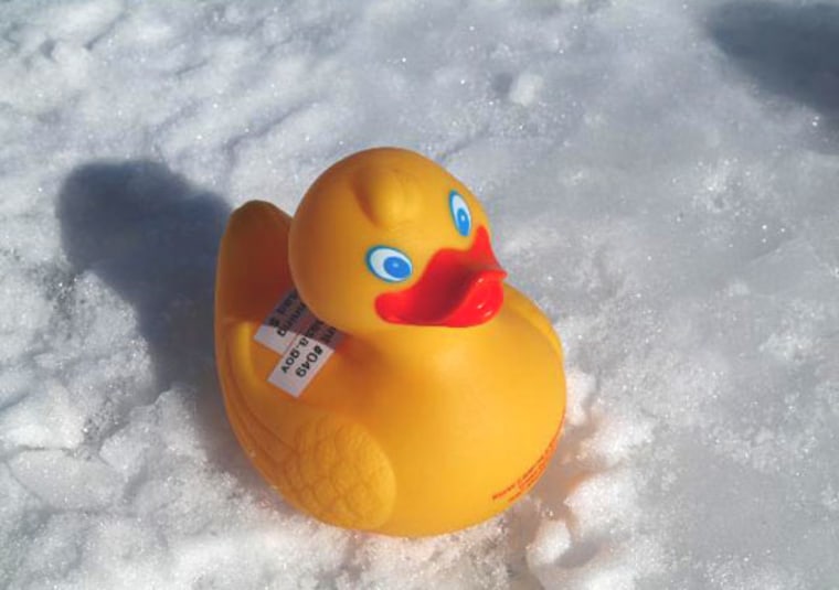 This rubber duckie was part of the brigade dropped into a glacier to track melting water.