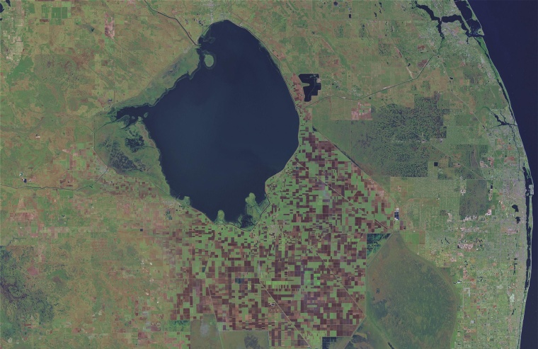 Lake Okeechobee, considered the liquid heart of the Everglades, is seen in a satellite image from 2000. It remains heavily polluted with phosphorous mostly from fertilizer runoff, wildlife habitat is disappearing and at least 67 species face extreme peril, experts found.