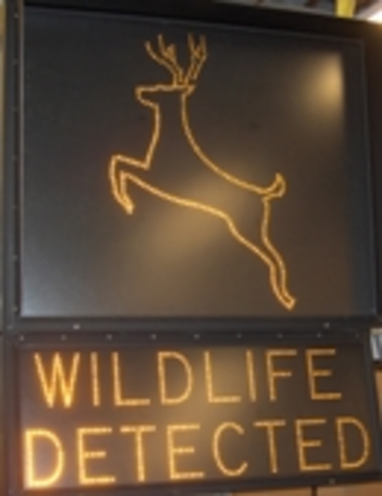 Wildlife detection sign