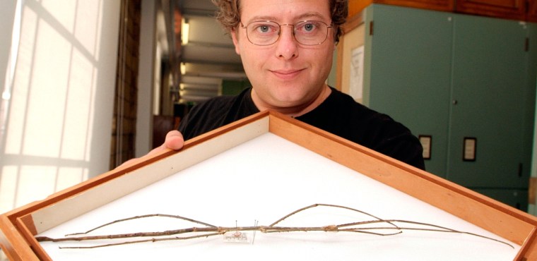 In this undated picture made available by Britain's Natural History Museum, Orthoptera Curator George Beccaloni holds a giant stick insect named Phobaeticus chani, which has been identified as the world's longest insect. 