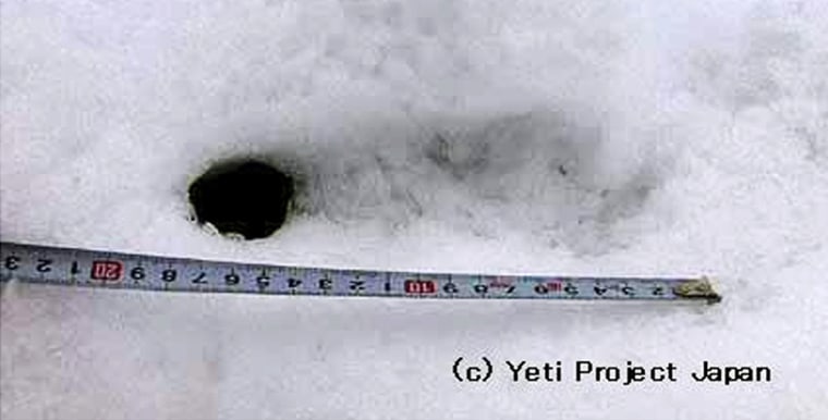 Image: Alleged Yeti footprint