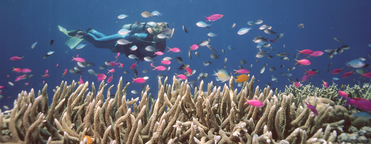Image: Great Barrier Reef