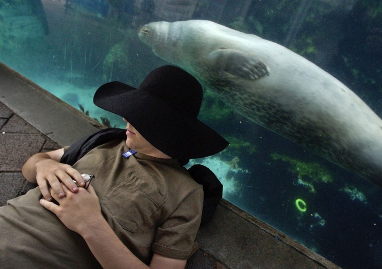 Image: New England Aquarium