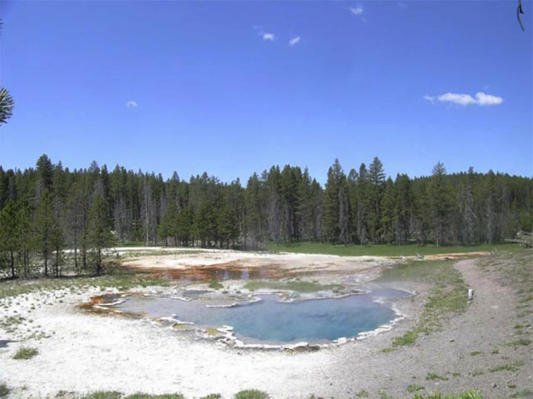 Octopus Spring, a hot spring in Yellowstone National Park. Scientists say the park's ancient volcanic floor has been rising since mid-2004. 