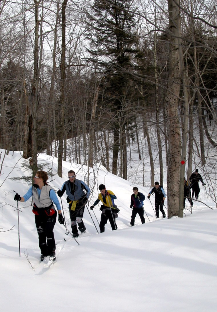 A a group of cross-country skiers explore a feeder trail to the Catamount Trail in Stowe, Vt.