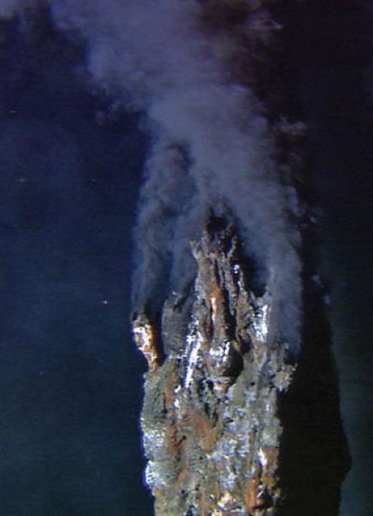 Hydrothermal vents, or "black smokers," at the East Pacific Rise study area spew out hot water and a stew of chemicals. 