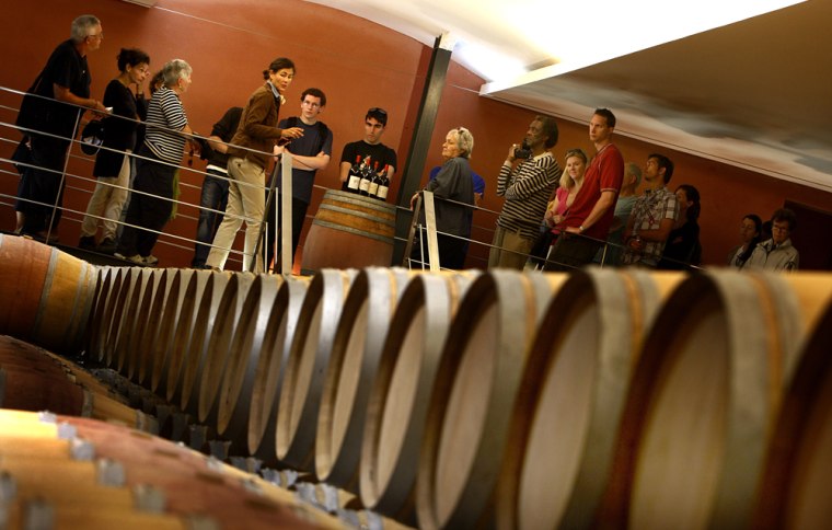 Image: harvesting holiday in Bordeaux wine country