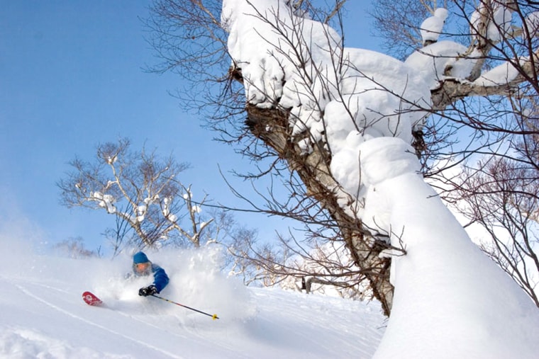Image: Skier in deep powde,r Hokkaido, Japan