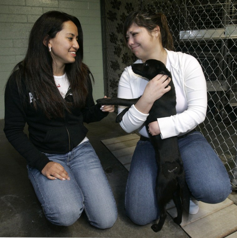 Sady Lima, left, and Cecilia Martinez, right, hug a puppy which has been put up for adoption at the Stockton Animal Shelter in Stockton, Calif., Wednesday, Jan. 16, 2008. In the heart of foreclosure country, abandoned animals are becoming a given, much like destroyed houses and fallen neighborhoods. In Stockton, Modesto and other nearby cities with some of the highest foreclosure rates in the nation, animal shelters and rescue groups are inundated. (AP Photo/Marcio Jose Sanchez)