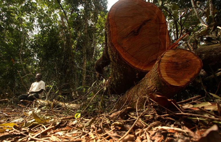 Image: Nigeria deforestation.