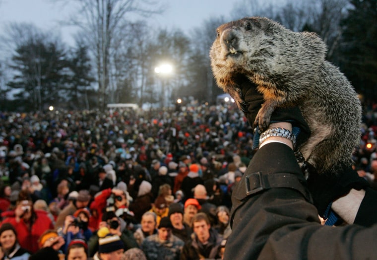 Image: Punxsutawney Phil is held up to the crowd at Gobbler's Knob