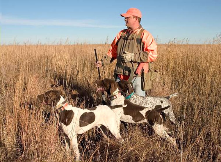 Image: junter and dogs