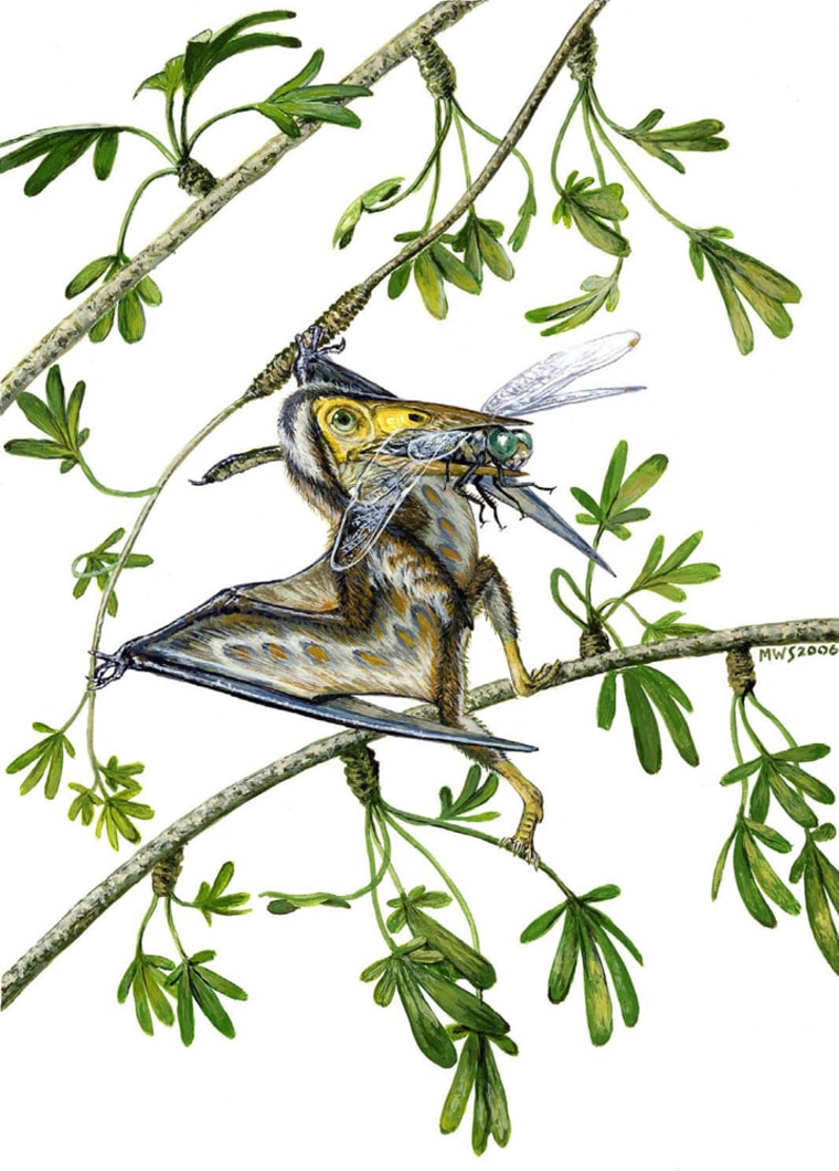 Image: Nemicolopterus crypticus, a small derived flying reptile