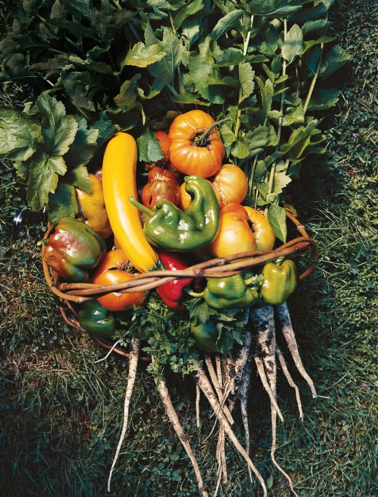 Image: Just-harvested vegetables for Arrows restaurant