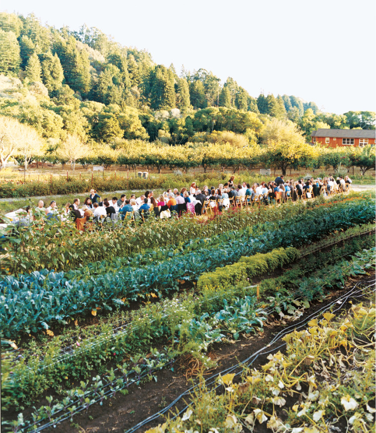 Image: guests dine at Everett Family Farm