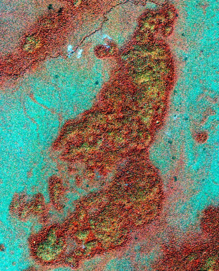 Image: Undated high-resolution, false-color image taken by commercial Earth-observation satellite IKONOS shows a Guatemalan bajo.