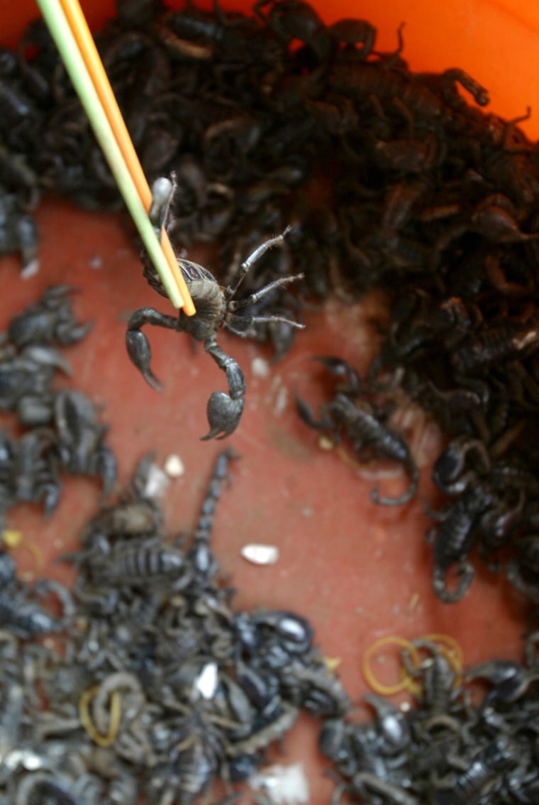 Image: Scorpions at Chinese market